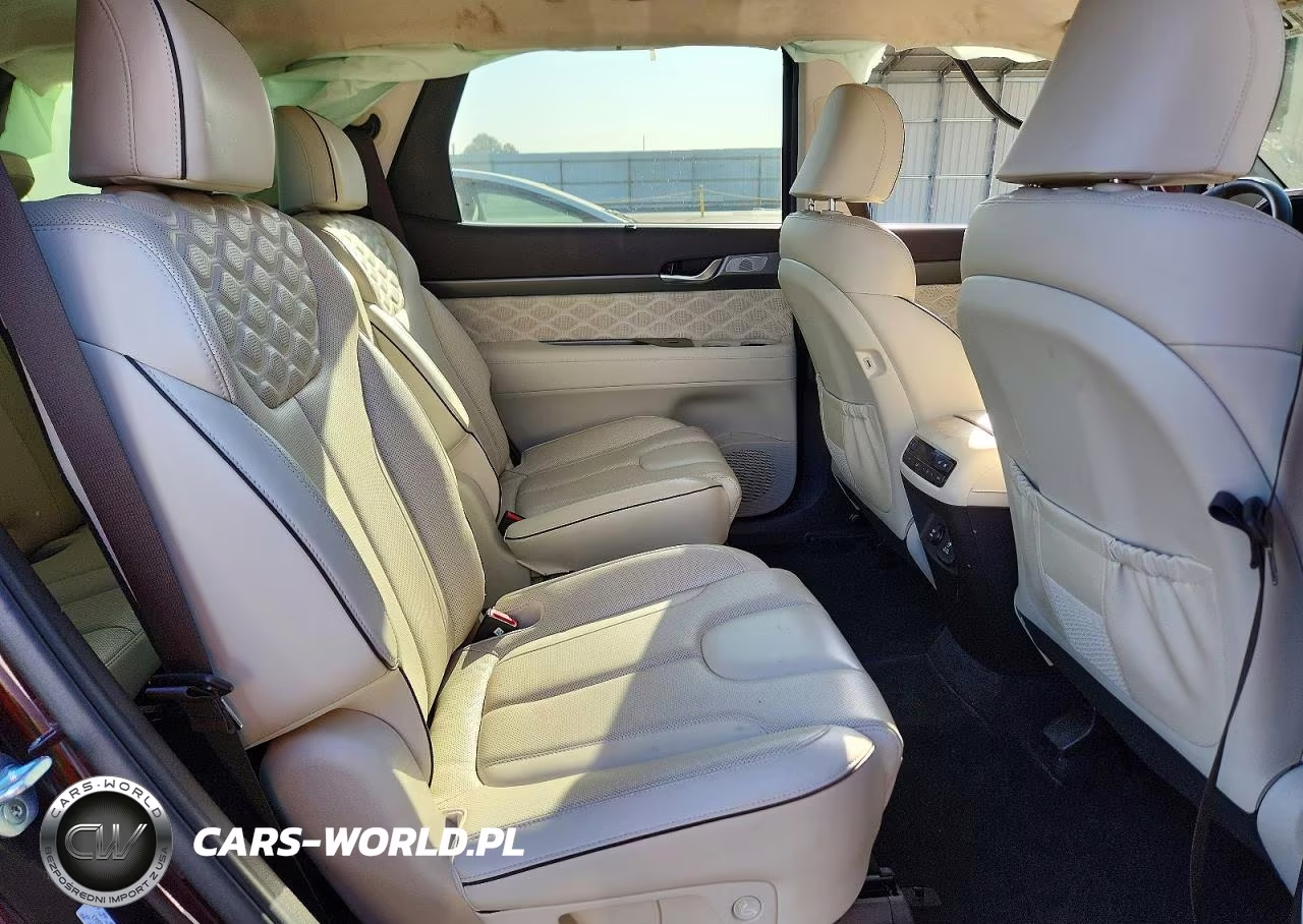 2020 Hyundai Palisade Limited VIN:KM8R54HE1LU135450 - 11