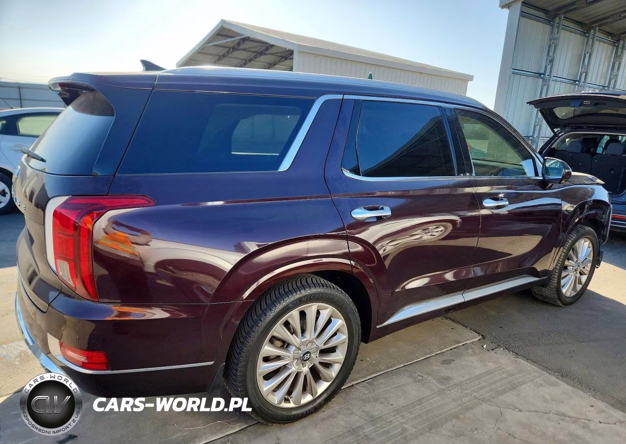 2020 Hyundai Palisade Limited VIN:KM8R54HE1LU135450 - 3
