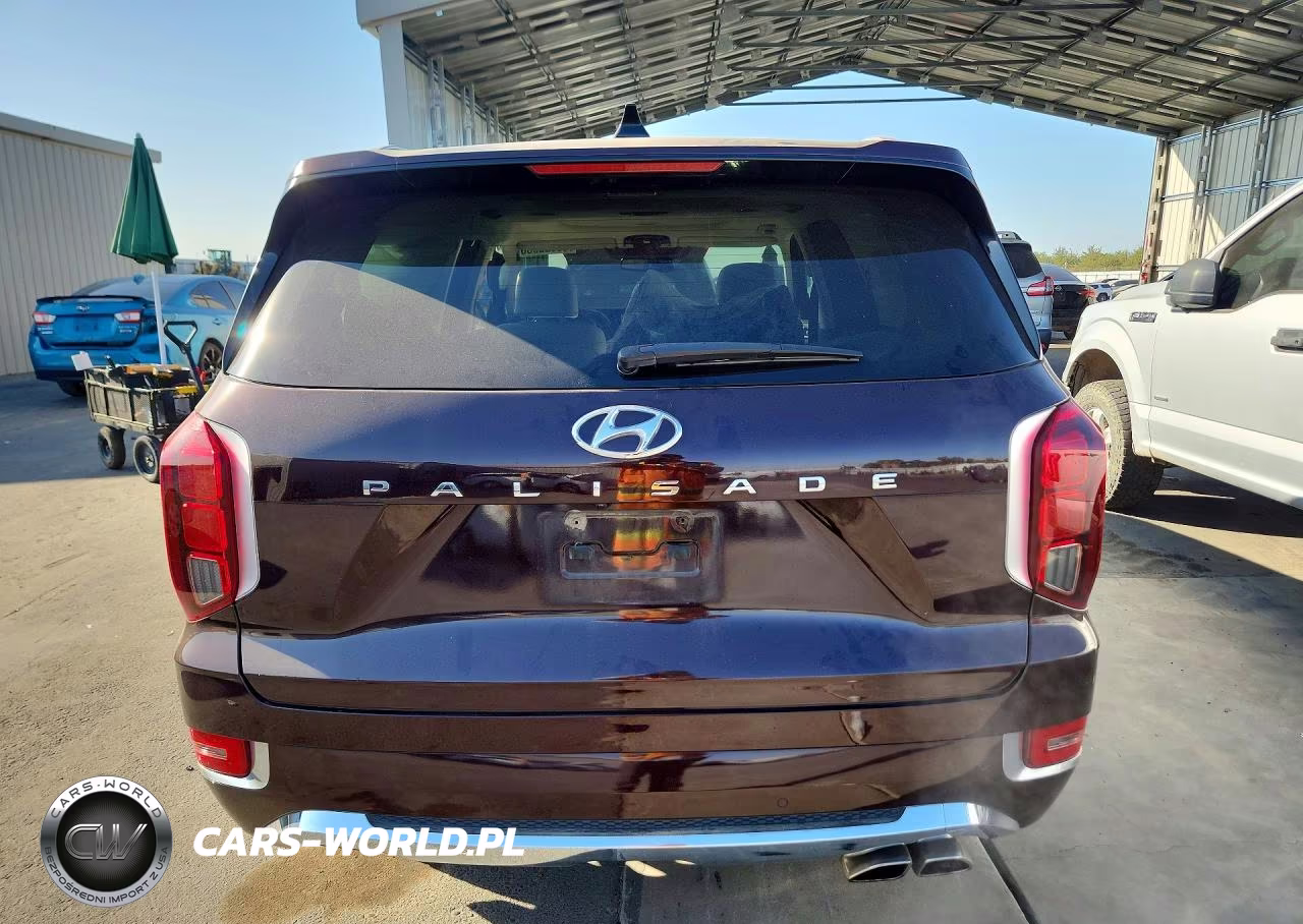 2020 Hyundai Palisade Limited VIN:KM8R54HE1LU135450 - 6