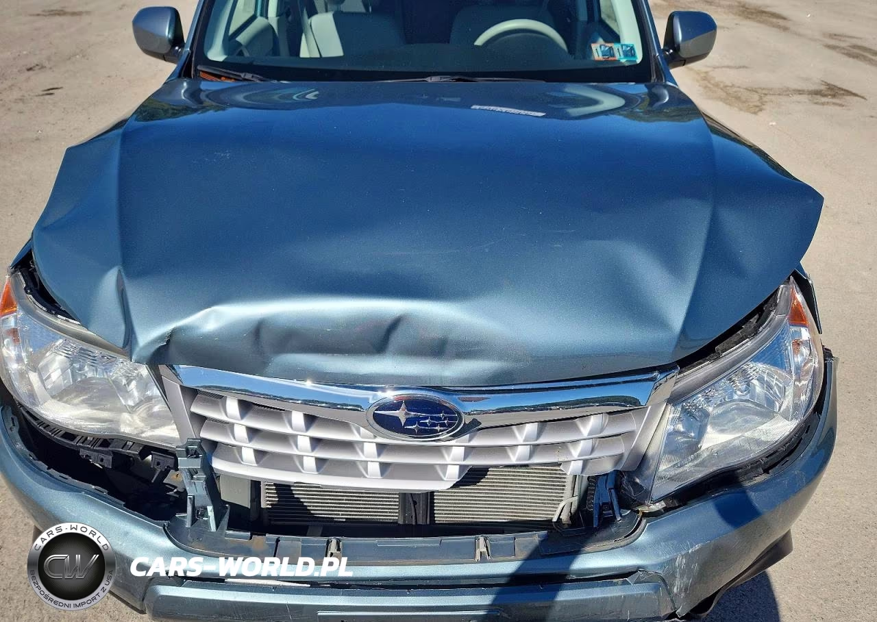 2011 Subaru Forester 2.5X Premium VIN:JF2SHADC1BH750587 - 12