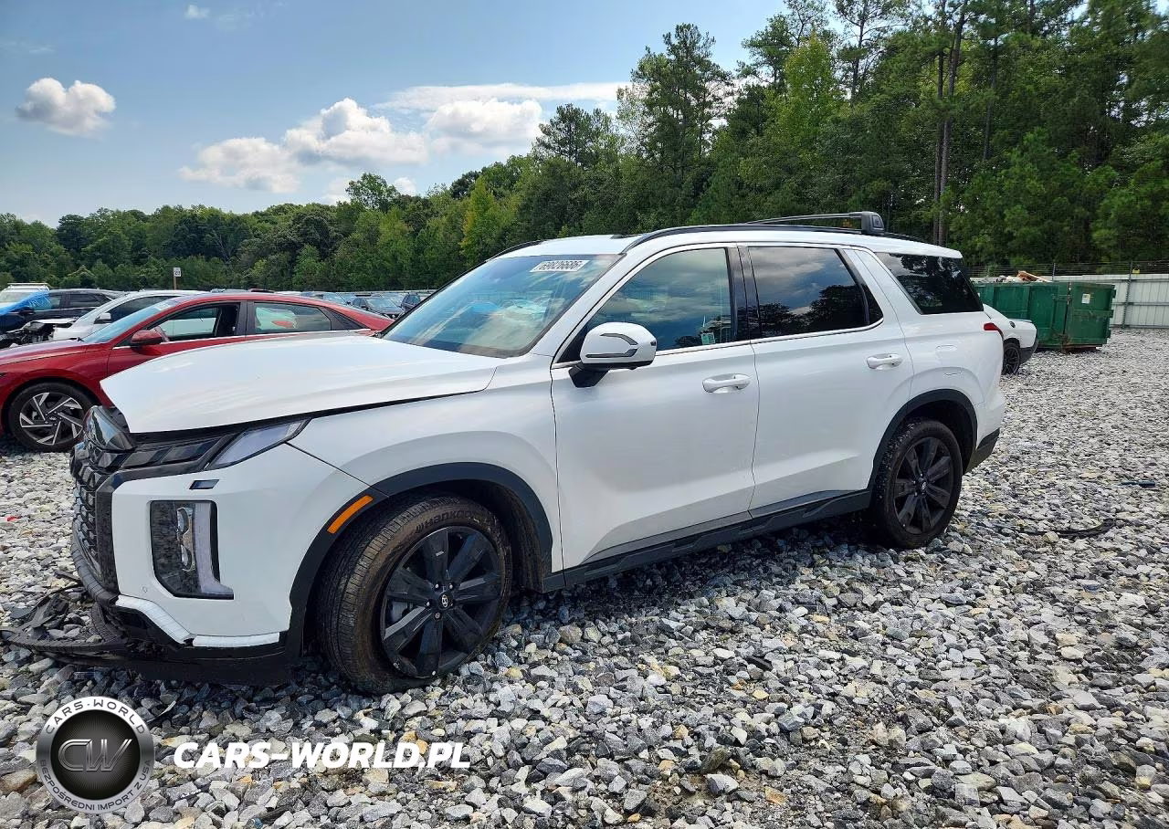 2025 Hyundai Palisade Xrt VIN:KM8R34GE3SU891979 - 1