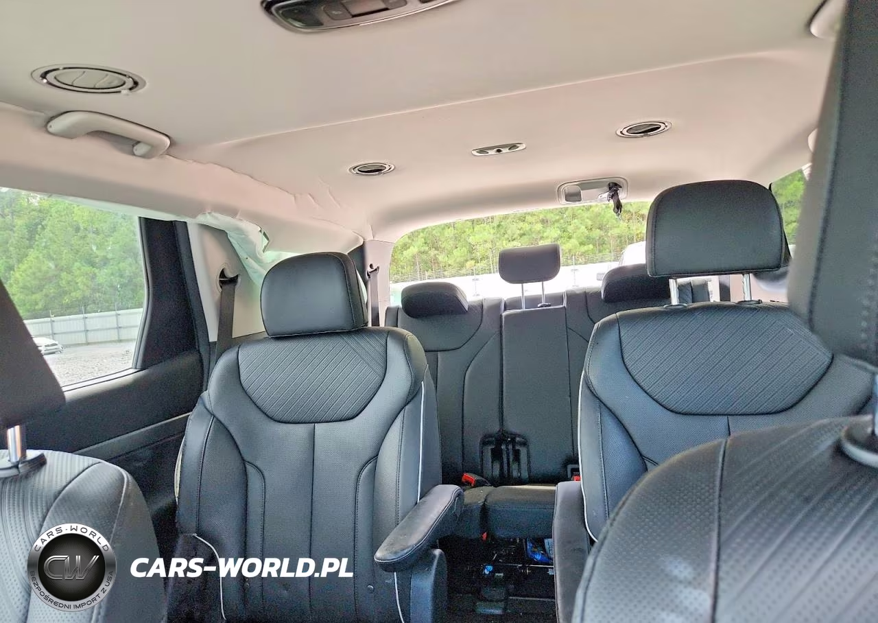 2025 Hyundai Palisade Xrt VIN:KM8R34GE3SU891979 - 10