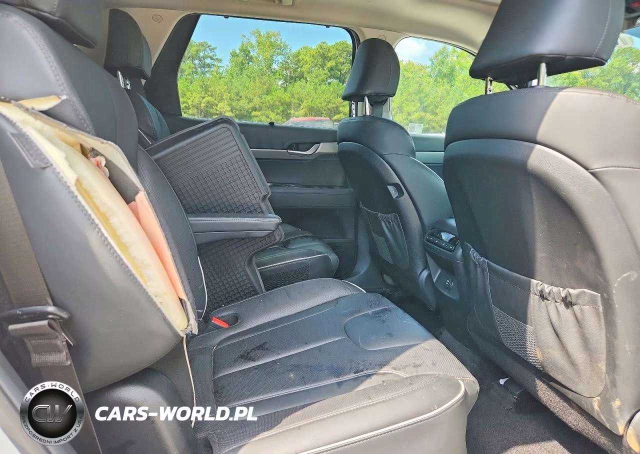 2025 Hyundai Palisade Xrt VIN:KM8R34GE3SU891979 - 11