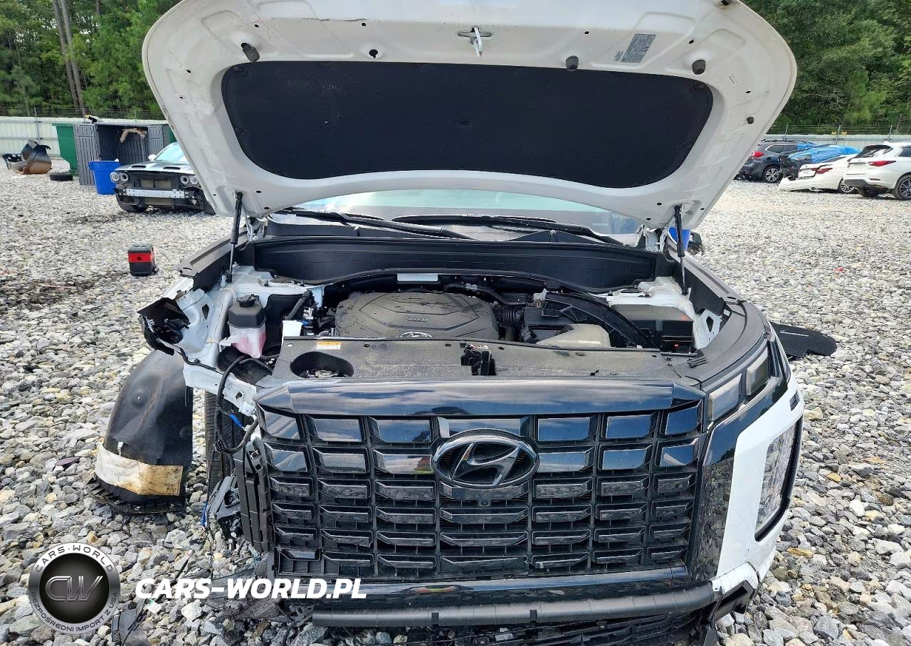 2025 Hyundai Palisade Xrt VIN:KM8R34GE3SU891979 - 12
