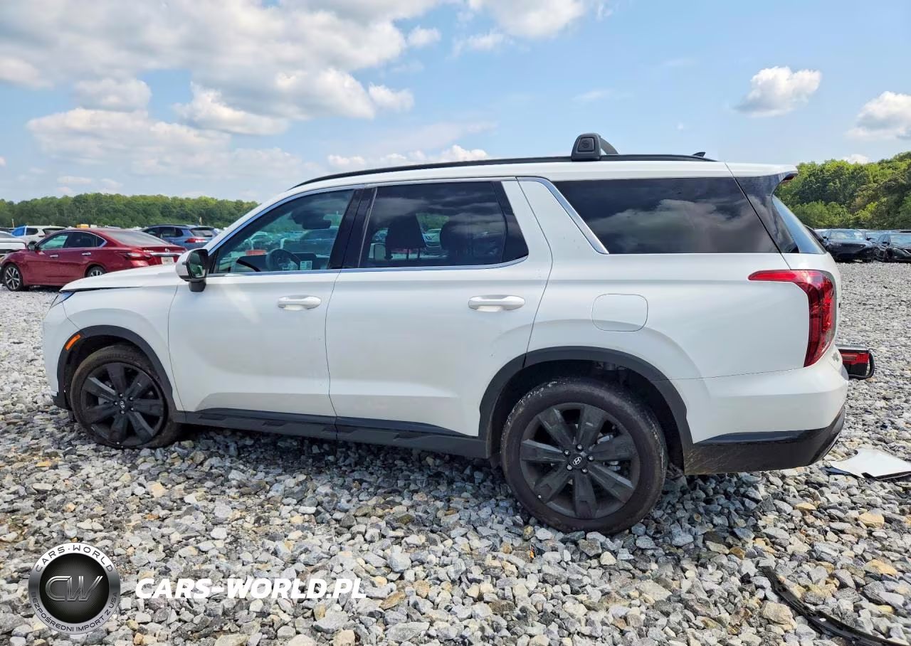 2025 Hyundai Palisade Xrt VIN:KM8R34GE3SU891979 - 2