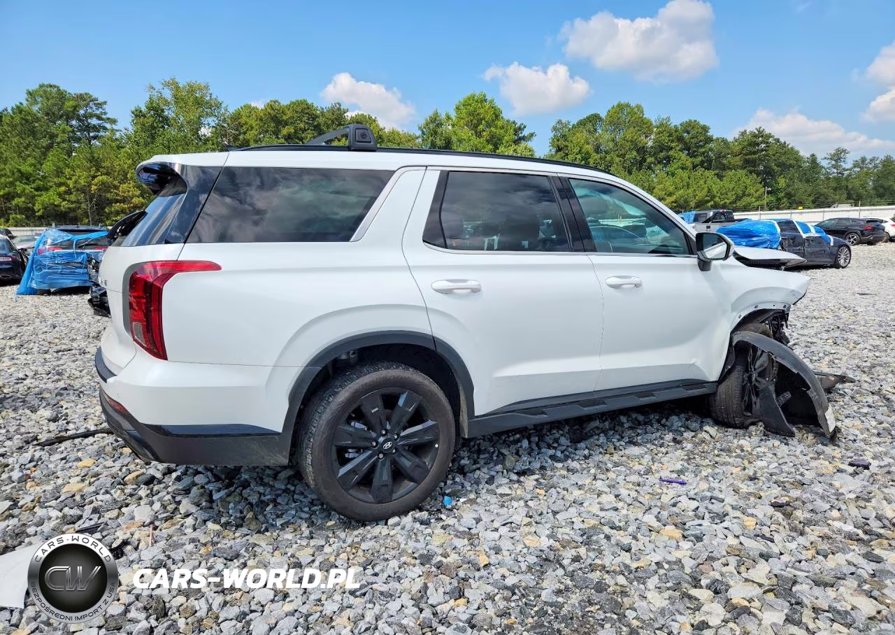 2025 Hyundai Palisade Xrt VIN:KM8R34GE3SU891979 - 3