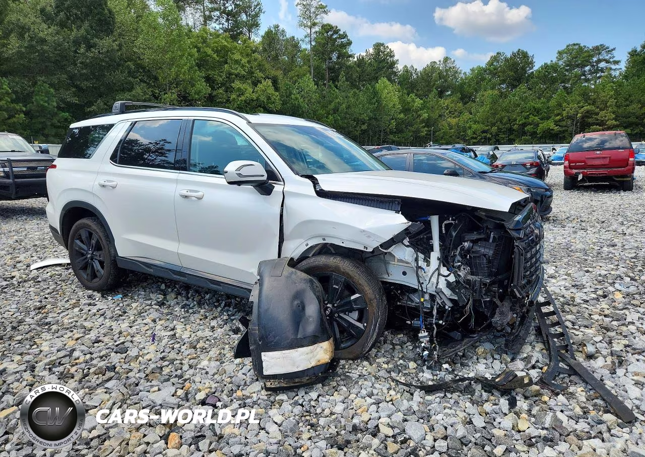 2025 Hyundai Palisade Xrt VIN:KM8R34GE3SU891979 - 4