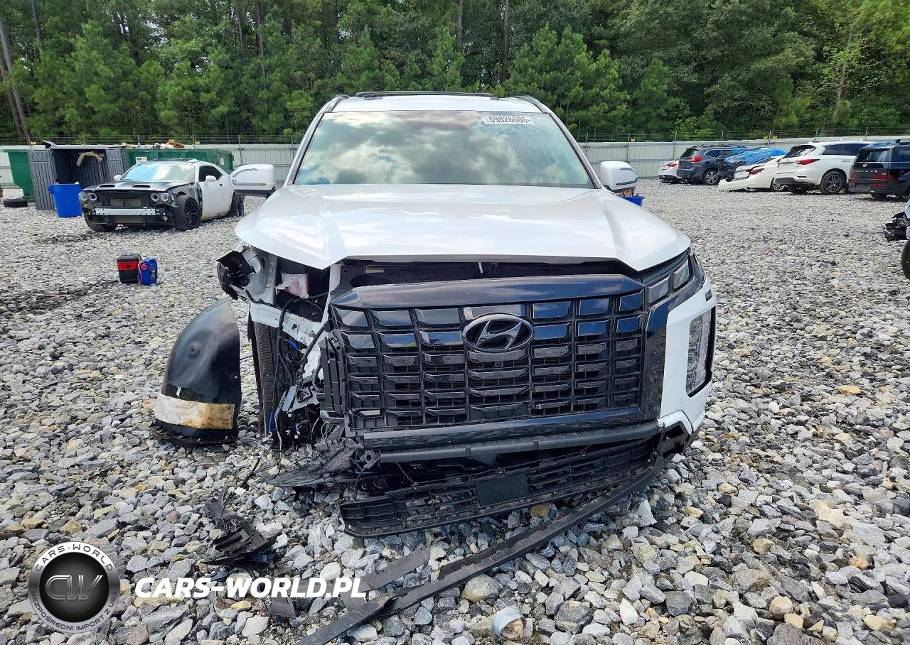 2025 Hyundai Palisade Xrt VIN:KM8R34GE3SU891979 - 5