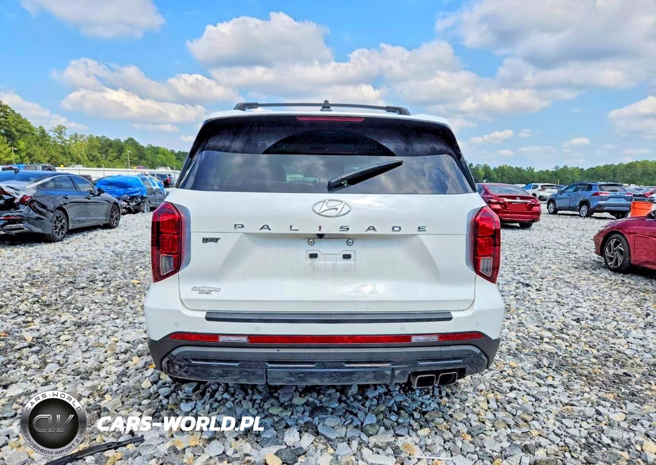 2025 Hyundai Palisade Xrt VIN:KM8R34GE3SU891979 - 6