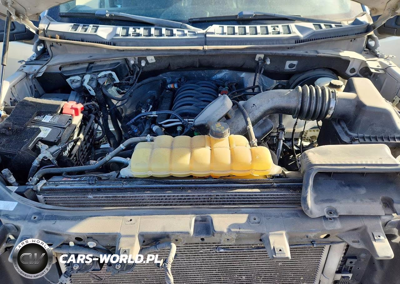 2020 Ford F150 Supercrew VIN:1FTEW1C58LKD21570 - 11