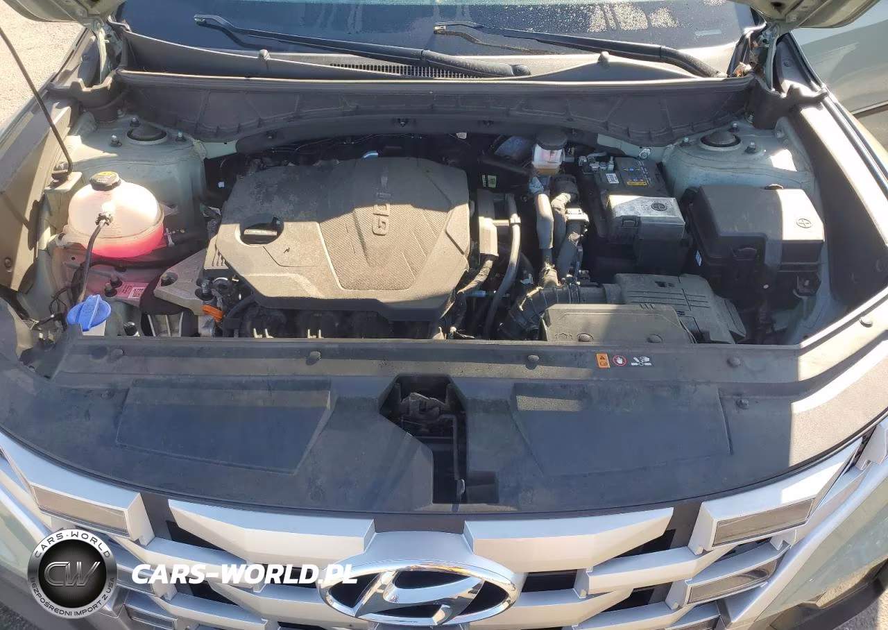 2024 Hyundai Santa Cruz Sel VIN:5NTJBDDE8RH104992 - 11