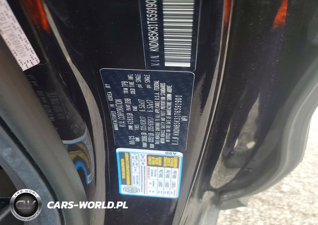 2026 Kia Carnival Lxs VIN:KNDNB5K31T6591901 - 13