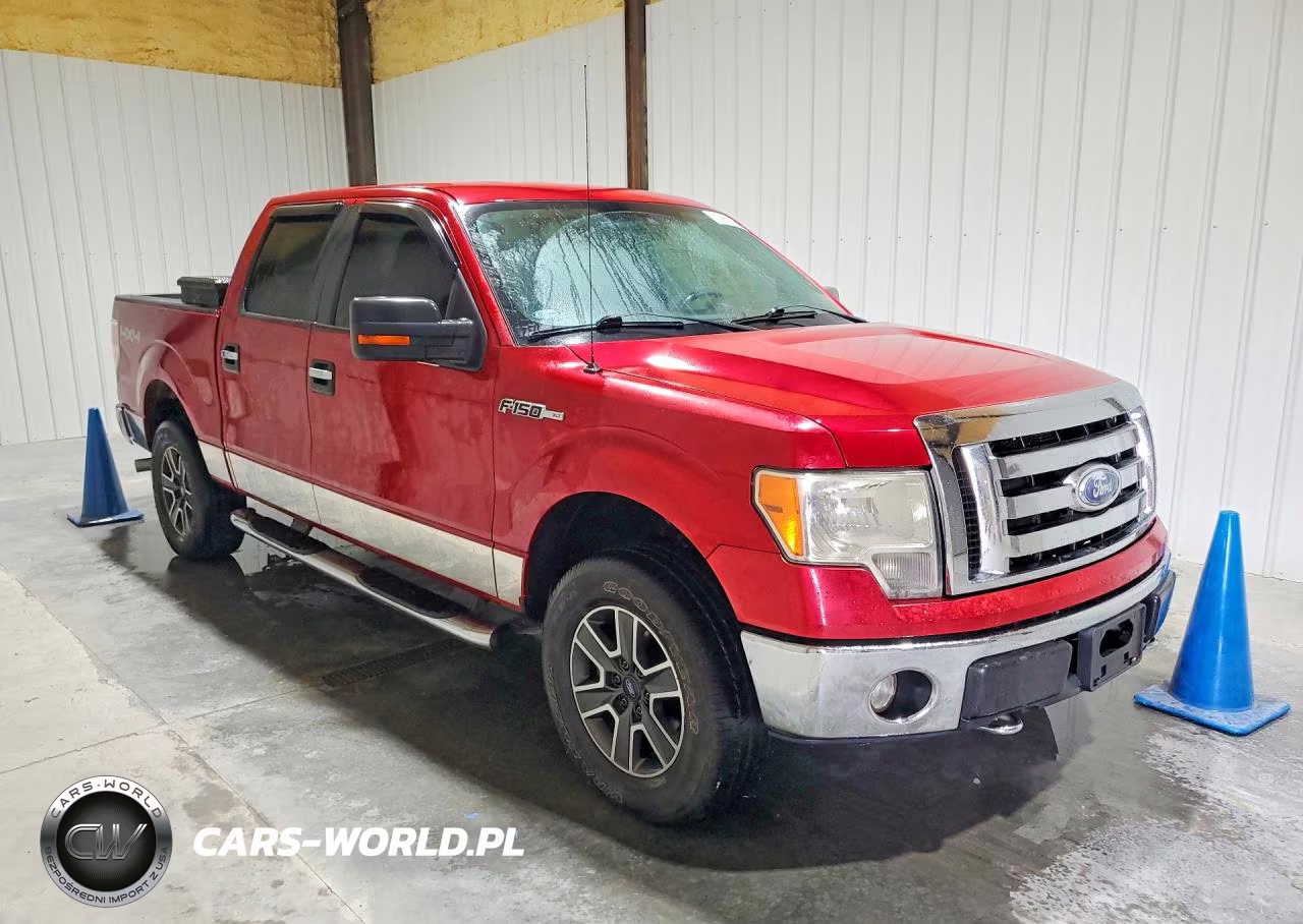 2009 Ford F150 Supercrew VIN:1FTPW14V89KC54663 - 4