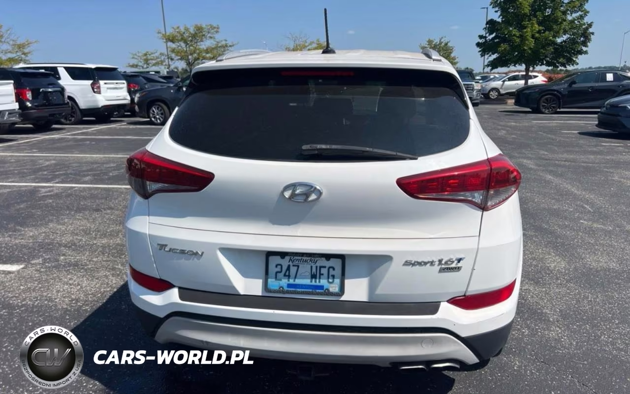 2017 Hyundai Tucson Sport VIN:KM8J3CA2XHU275940 - 13