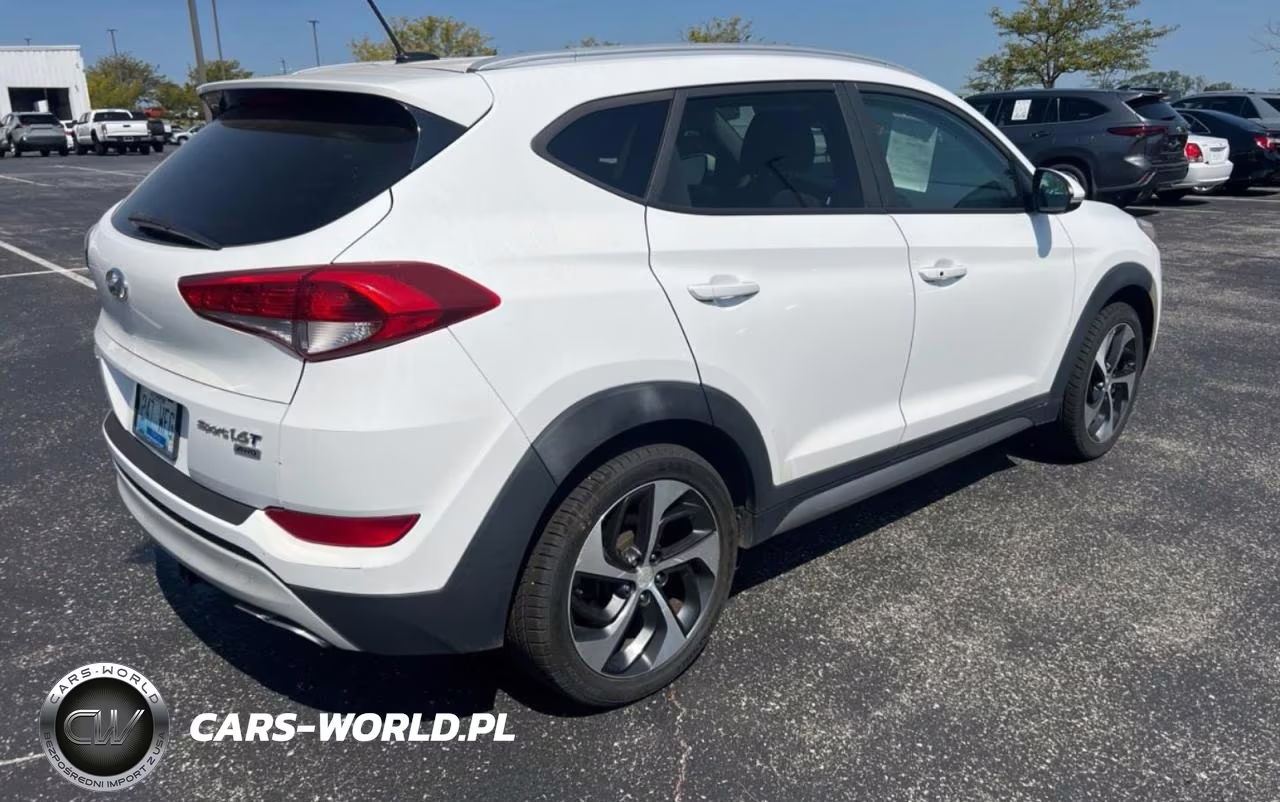 2017 Hyundai Tucson Sport VIN:KM8J3CA2XHU275940 - 4
