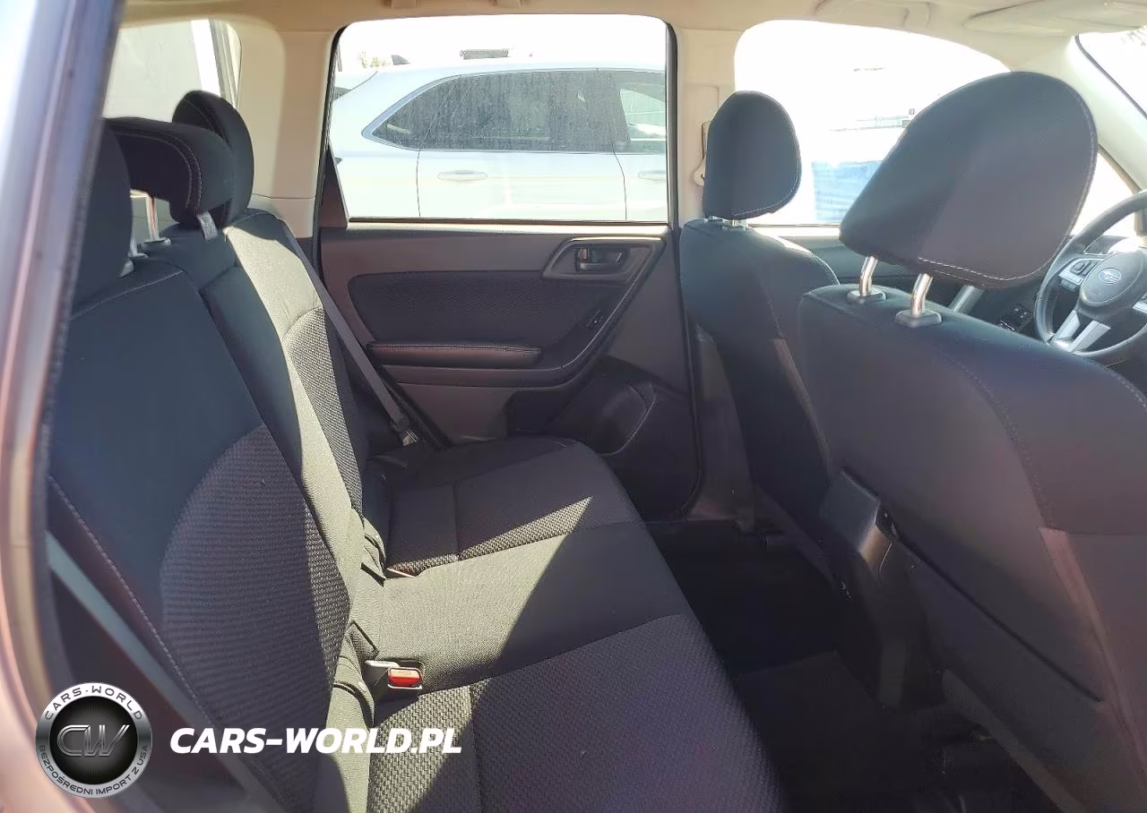 2017 Subaru Forester 2.5I Premium VIN:JF2SJAEC0HH411959 - 10