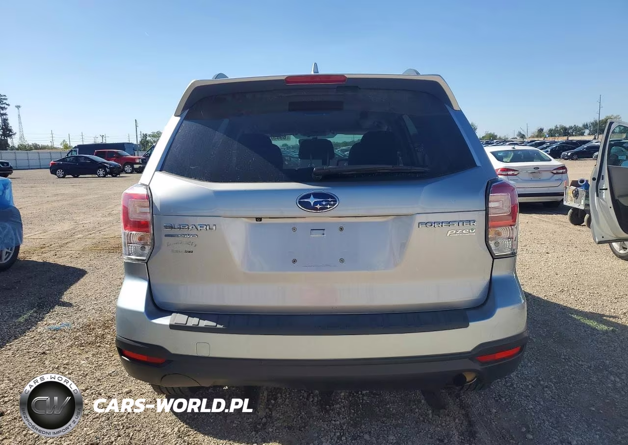 2017 Subaru Forester 2.5I Premium VIN:JF2SJAEC0HH411959 - 6