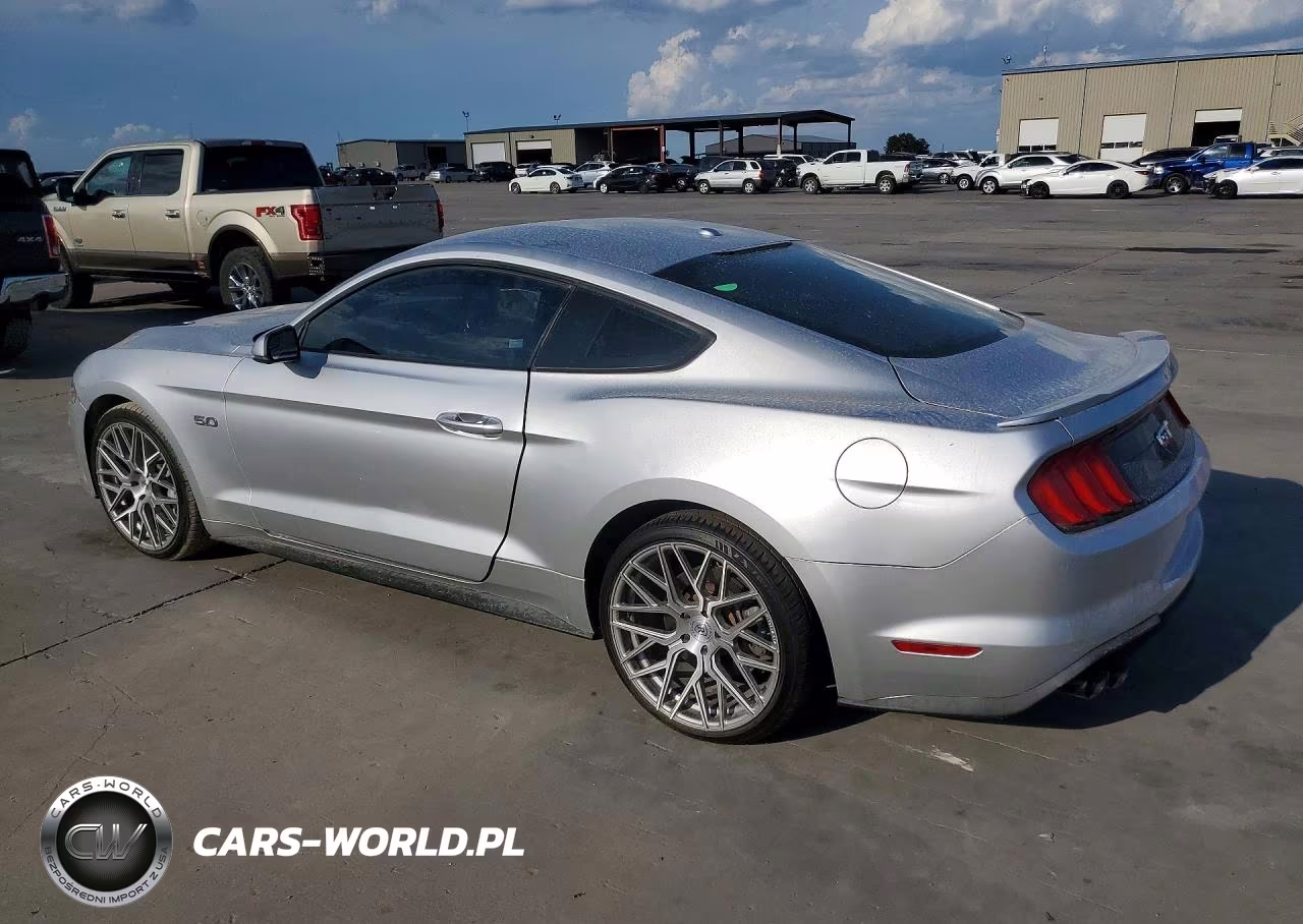 2019 Ford Mustang Gt VIN:1FA6P8CF1K5116081 - 2