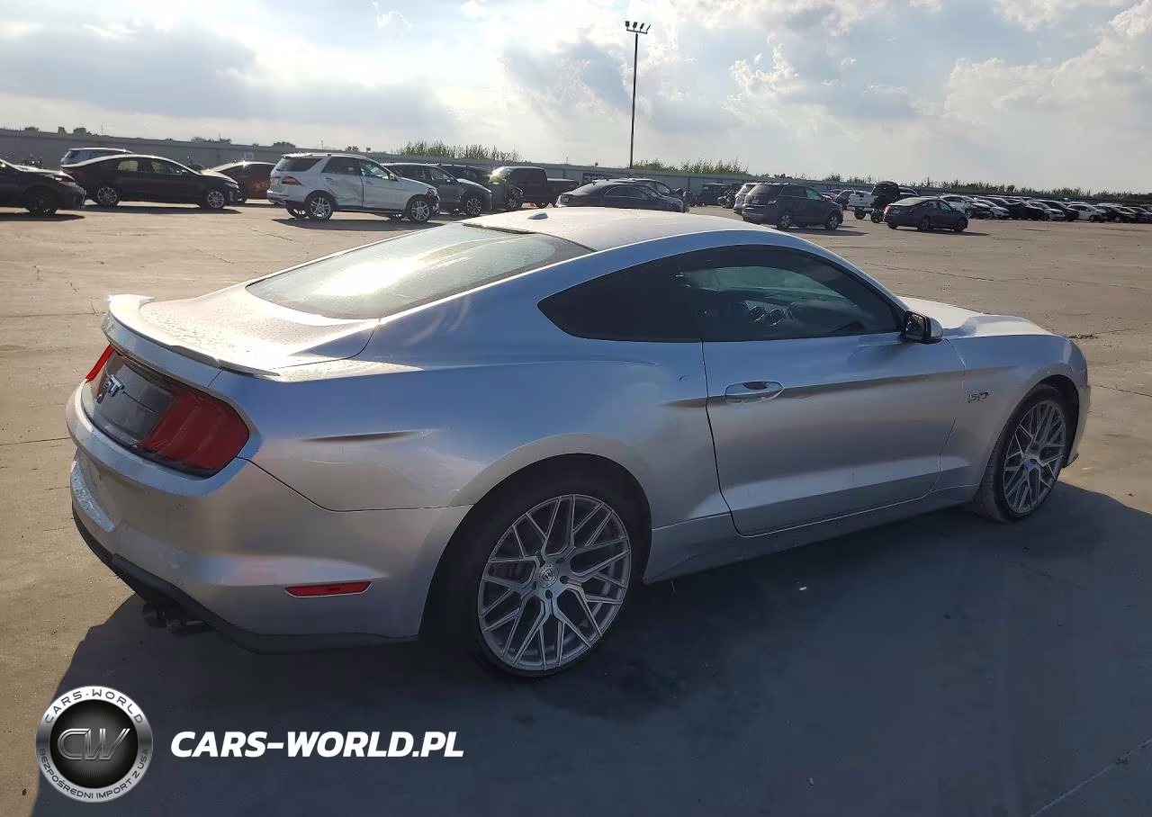 2019 Ford Mustang Gt VIN:1FA6P8CF1K5116081 - 3