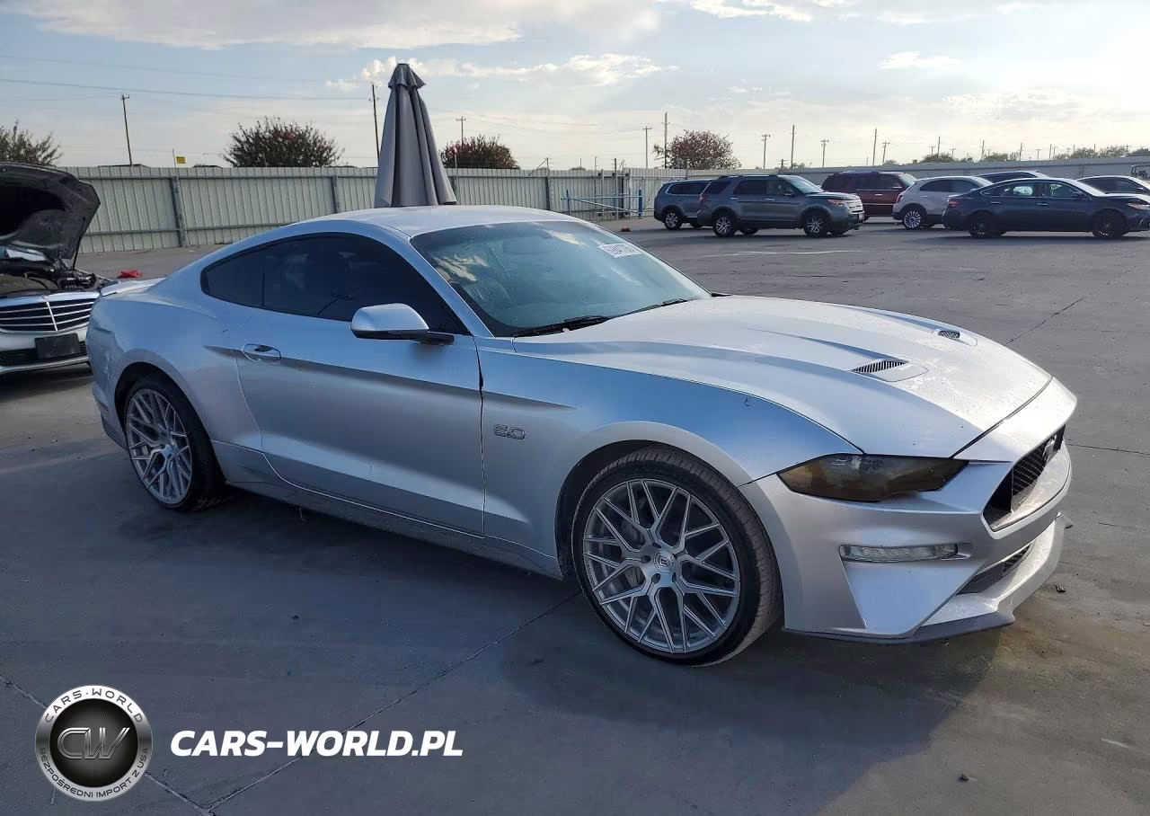 2019 Ford Mustang Gt VIN:1FA6P8CF1K5116081 - 4