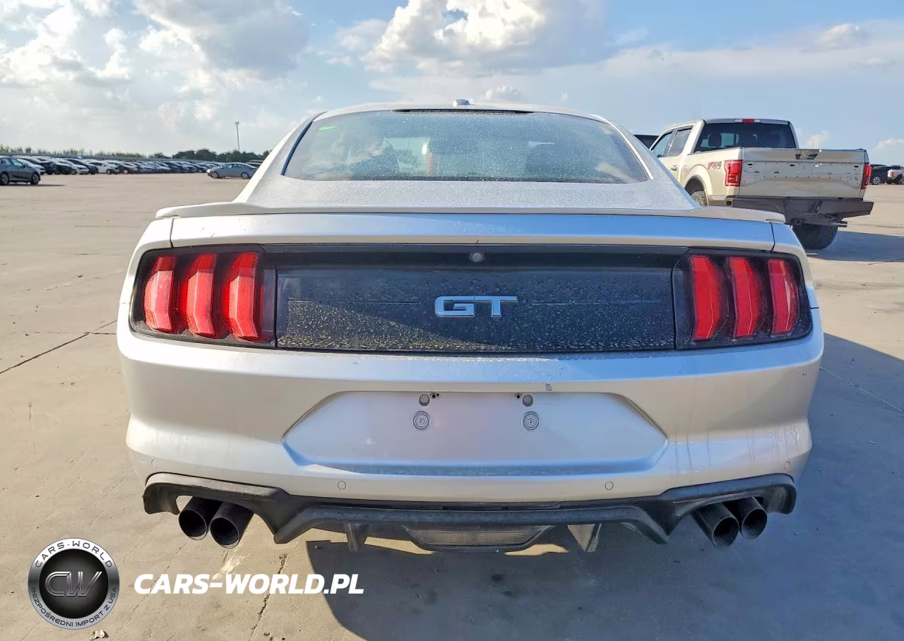 2019 Ford Mustang Gt VIN:1FA6P8CF1K5116081 - 6