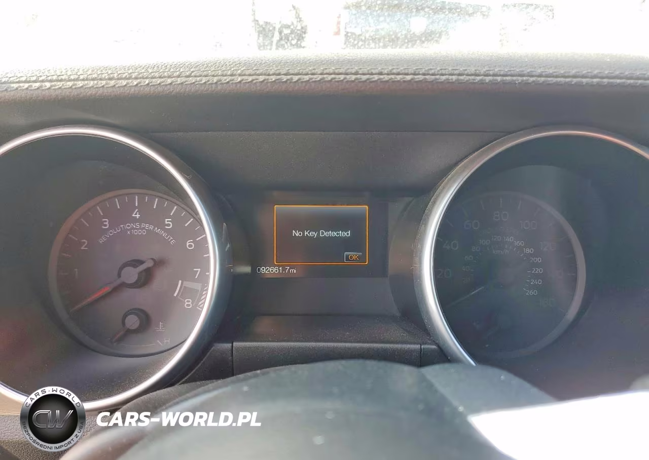 2019 Ford Mustang Gt VIN:1FA6P8CF1K5116081 - 9