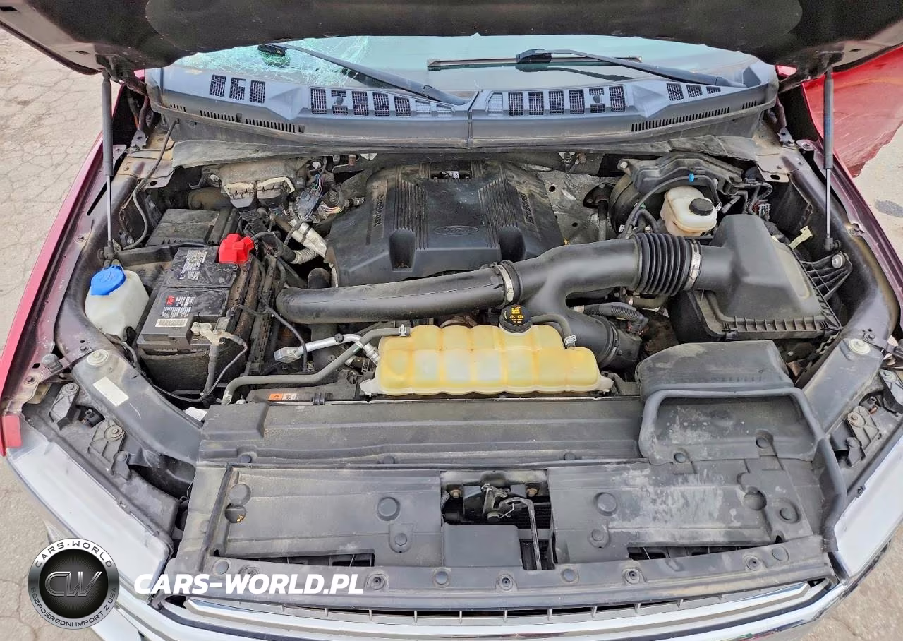 2019 Ford F150 Supercrew VIN:1FTFW1E46KFD04248 - 11