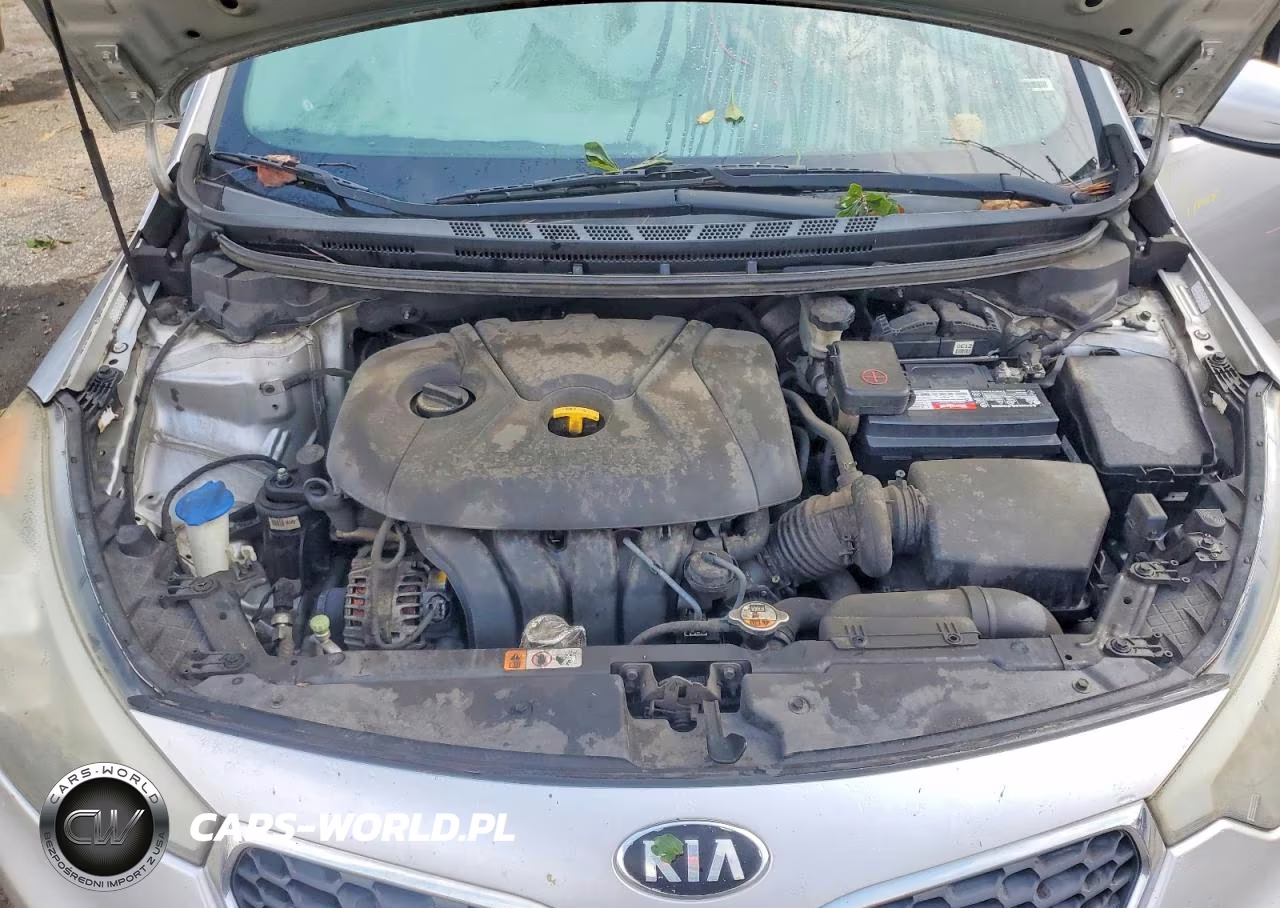 2014 Kia Forte Lx VIN:KNAFK4A66E5144318 - 11