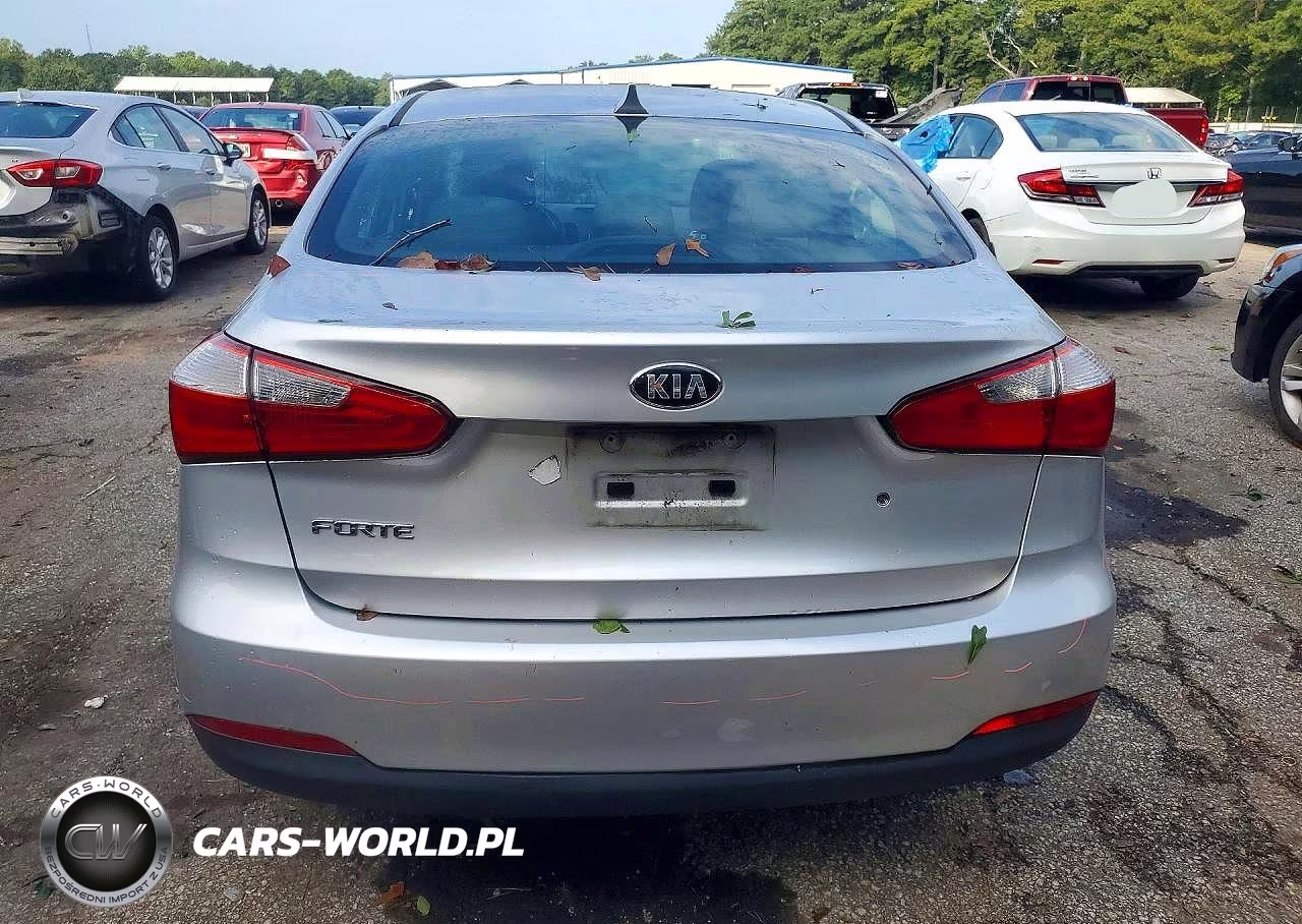 2014 Kia Forte Lx VIN:KNAFK4A66E5144318 - 6