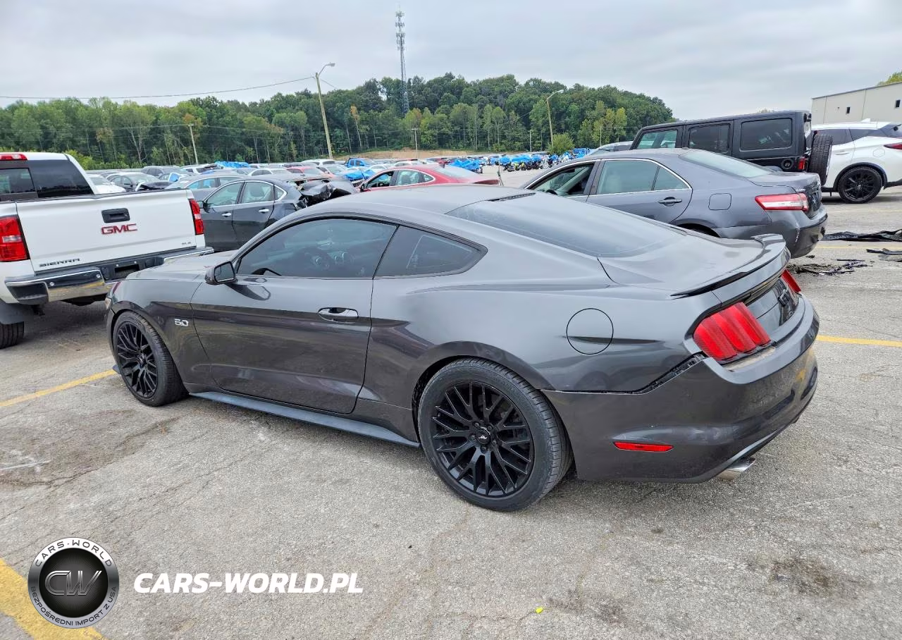 2016 Ford Mustang Gt VIN:1FA6P8CF0G5224196 - 2