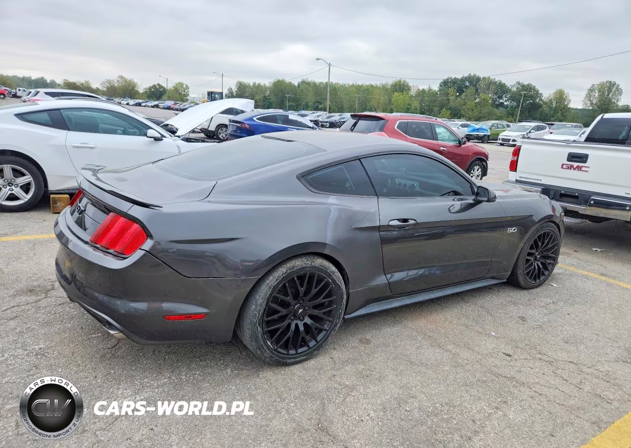 2016 Ford Mustang Gt VIN:1FA6P8CF0G5224196 - 3