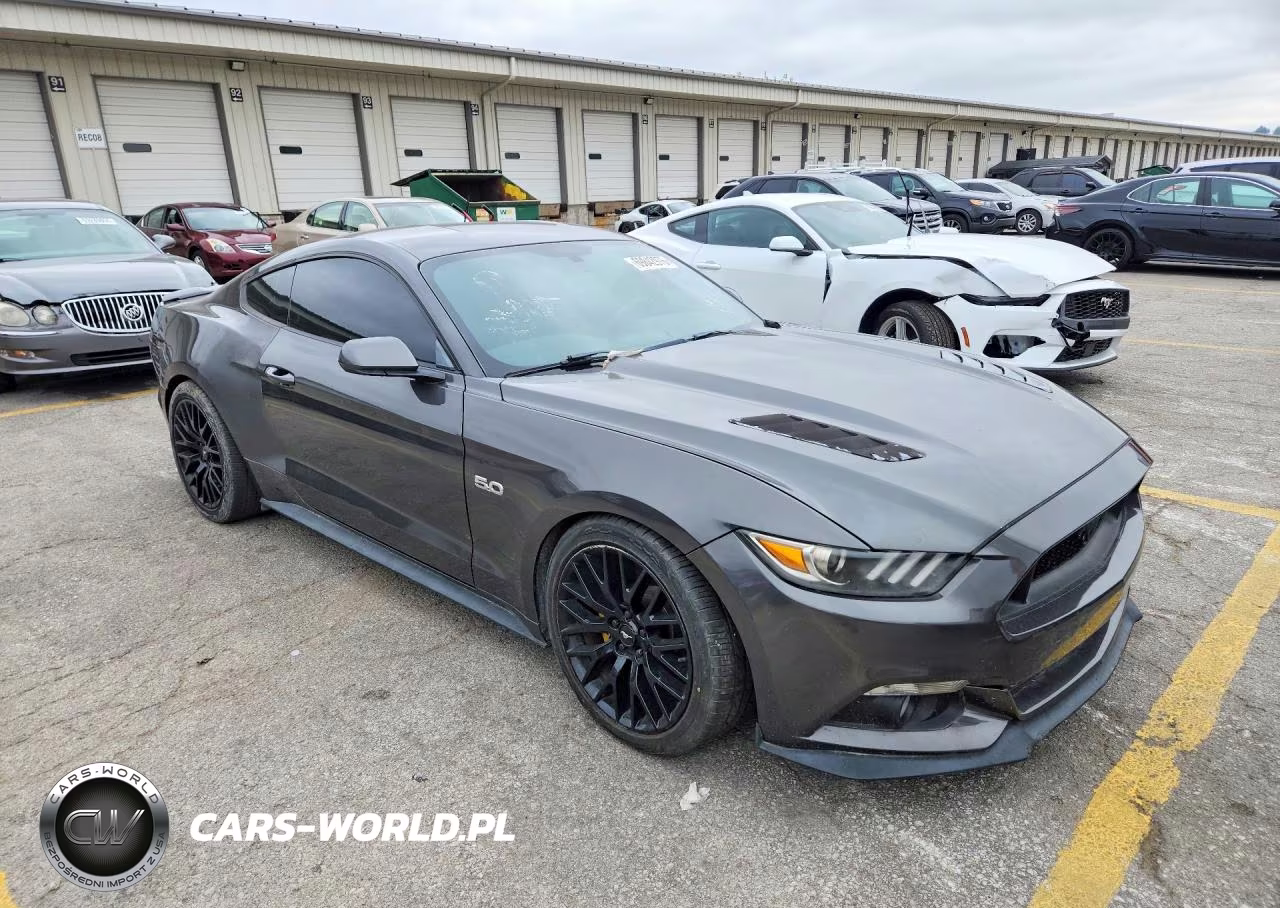 2016 Ford Mustang Gt VIN:1FA6P8CF0G5224196 - 4