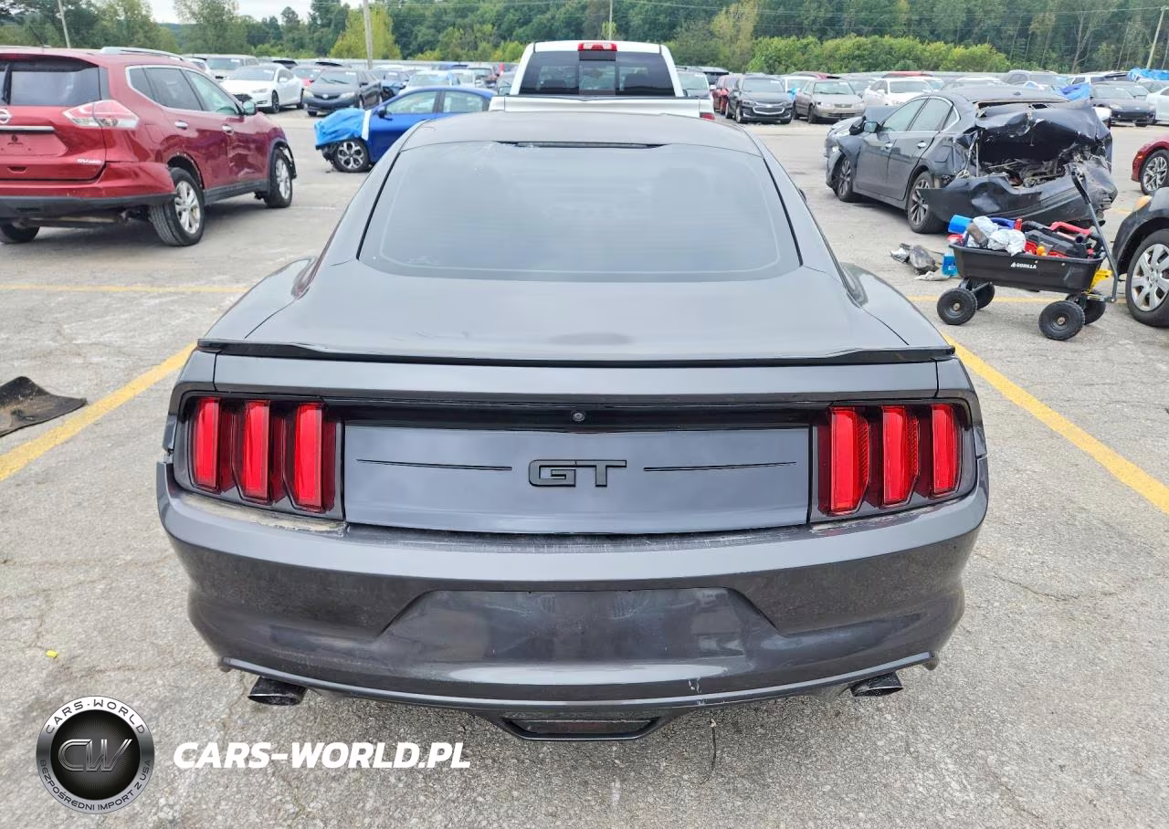 2016 Ford Mustang Gt VIN:1FA6P8CF0G5224196 - 6