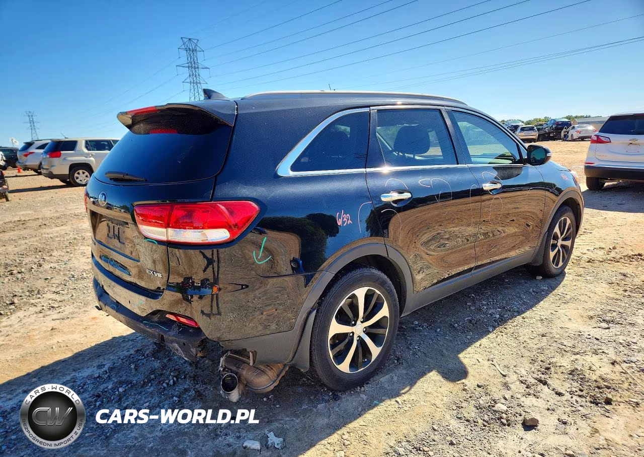 2016 Kia Sorento Ex VIN:5XYPH4A56GG111701 - 3