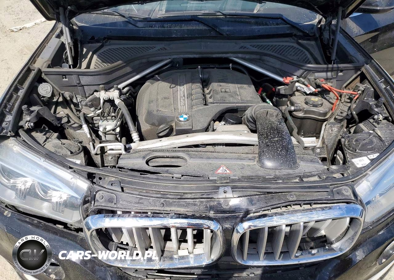 2015 BMW X5 xDrive35I VIN:5UXKR0C50F0P16099 - 12