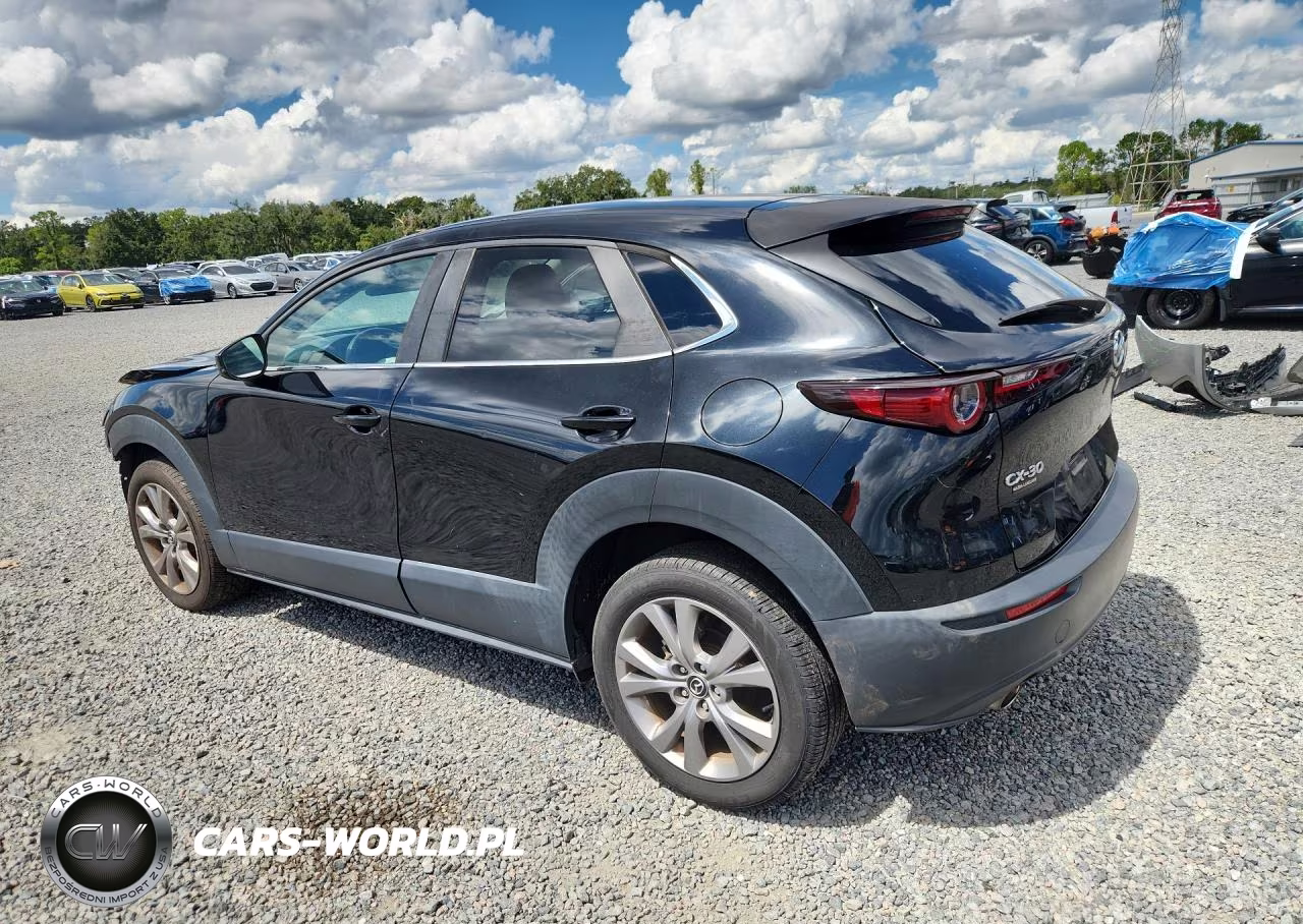 2020 Mazda Cx-30 Select VIN:3MVDMACL5LM133838 - 2