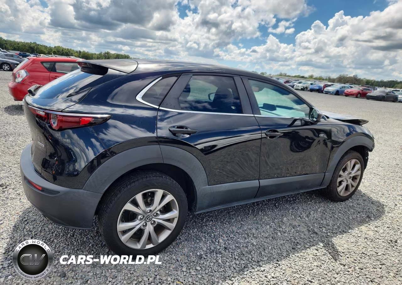 2020 Mazda Cx-30 Select VIN:3MVDMACL5LM133838 - 3