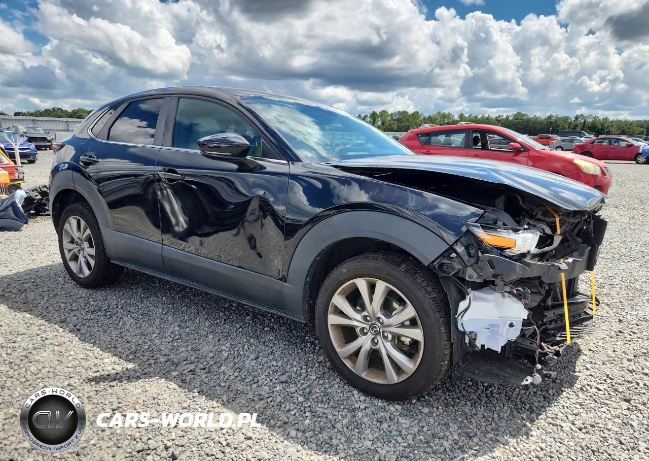 2020 Mazda Cx-30 Select VIN:3MVDMACL5LM133838 - 4