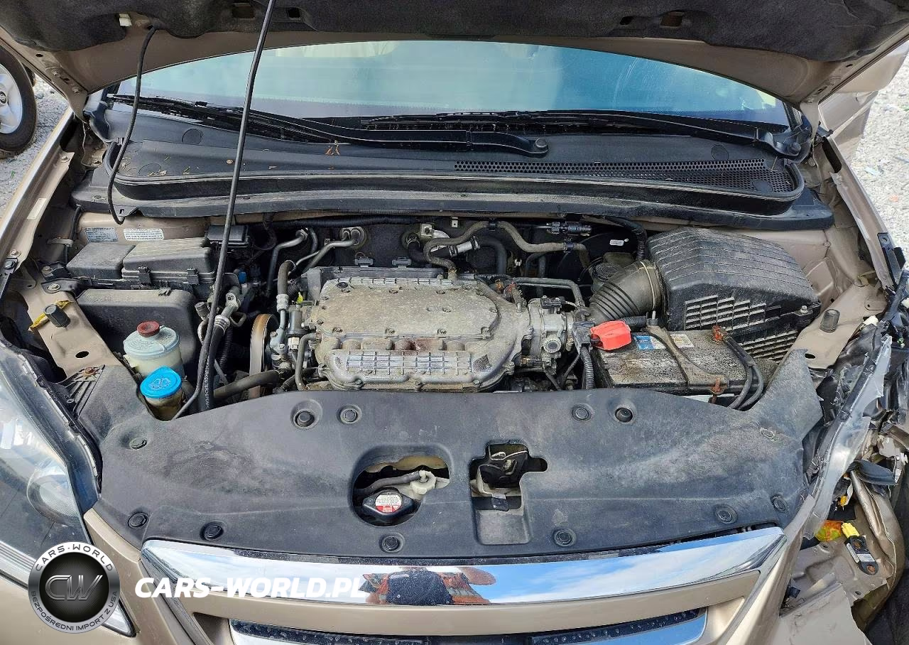 2005 Honda Odyssey Exl VIN:5FNRL387X5B125937 - 12
