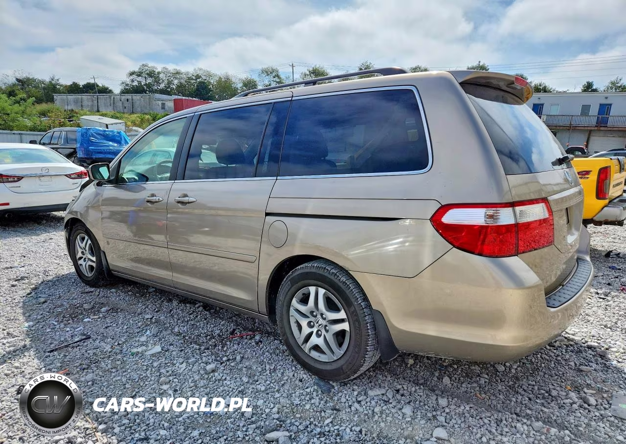2005 Honda Odyssey Exl VIN:5FNRL387X5B125937 - 2