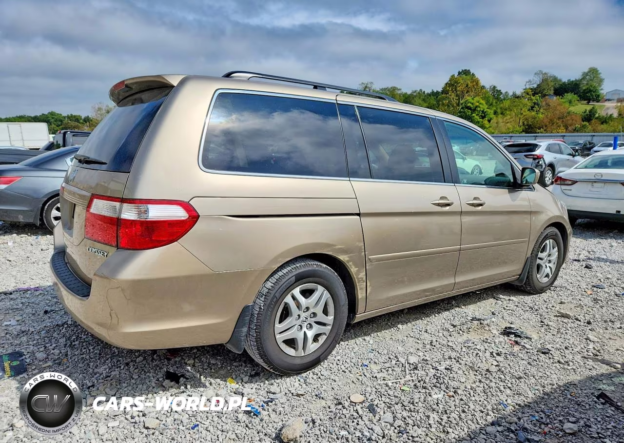2005 Honda Odyssey Exl VIN:5FNRL387X5B125937 - 3