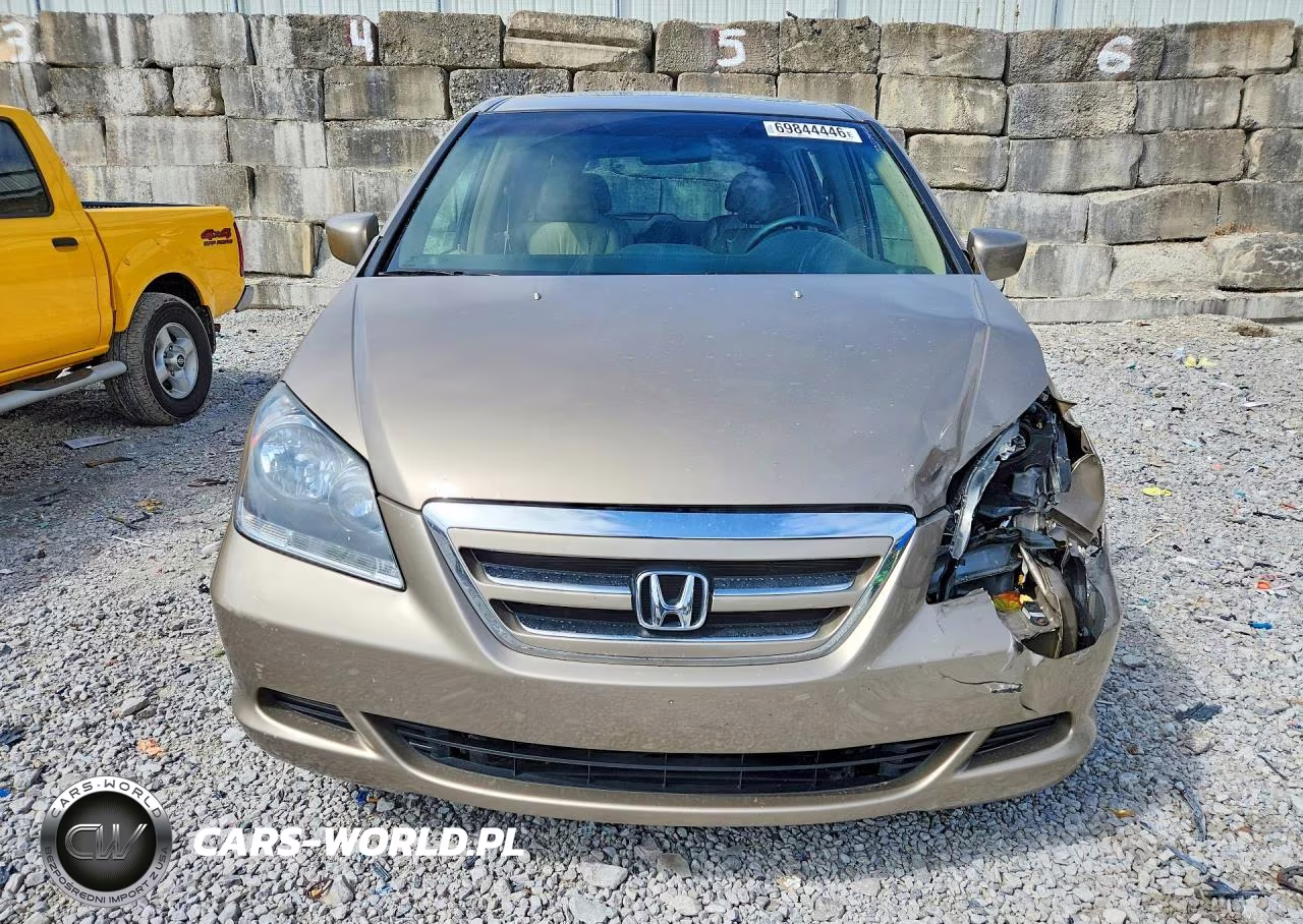 2005 Honda Odyssey Exl VIN:5FNRL387X5B125937 - 5