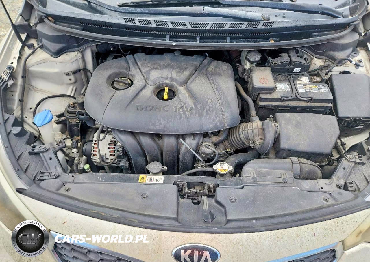 2015 Kia Forte Lx VIN:KNAFK4A61F5379534 - 11