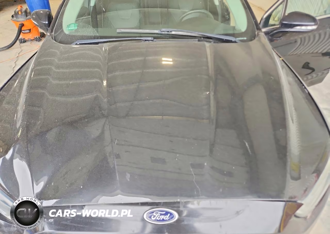 2014 Ford Fusion Titanium VIN:3FA6P0K96ER336430 - 11
