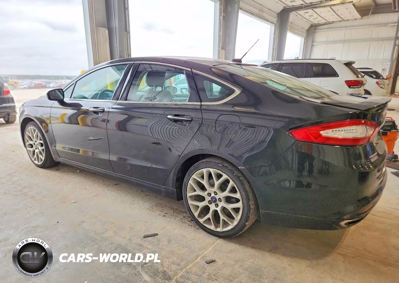2014 Ford Fusion Titanium VIN:3FA6P0K96ER336430 - 2