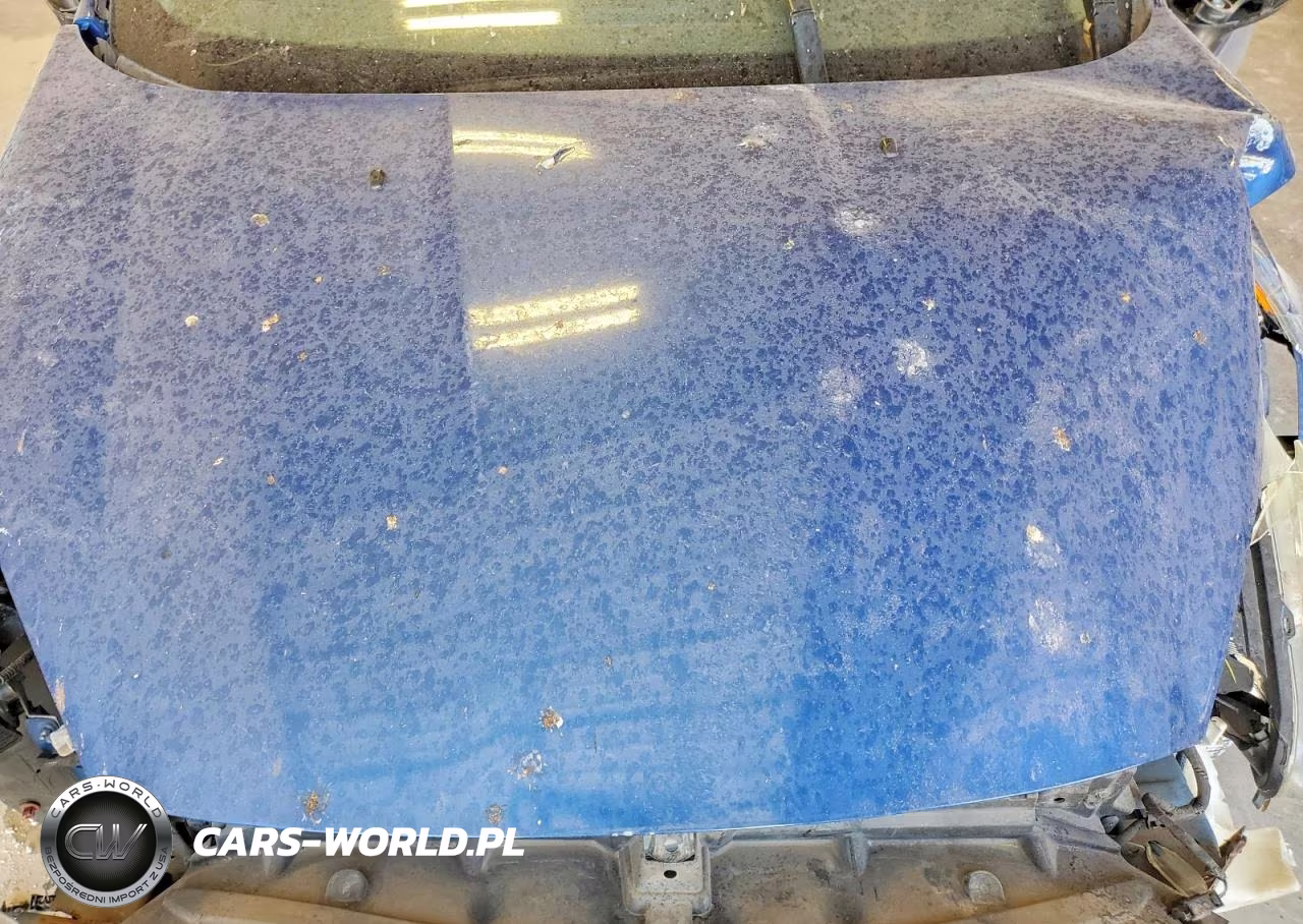 2019 Ford Fiesta Se VIN:3FADP4BJ1KM161215 - 11