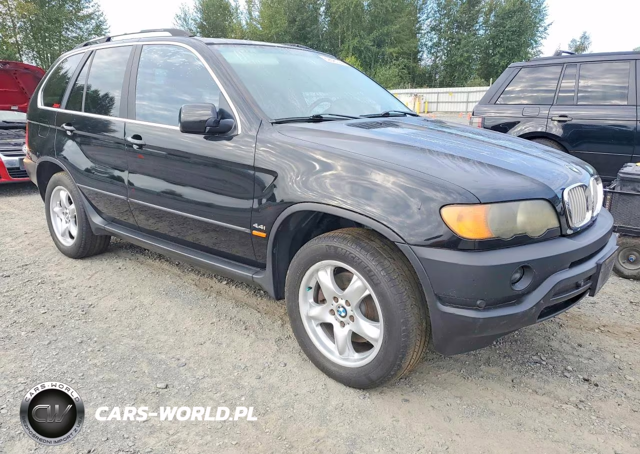 2001 BMW X5 4.4I VIN:WBAFB33561LH26507 - 4