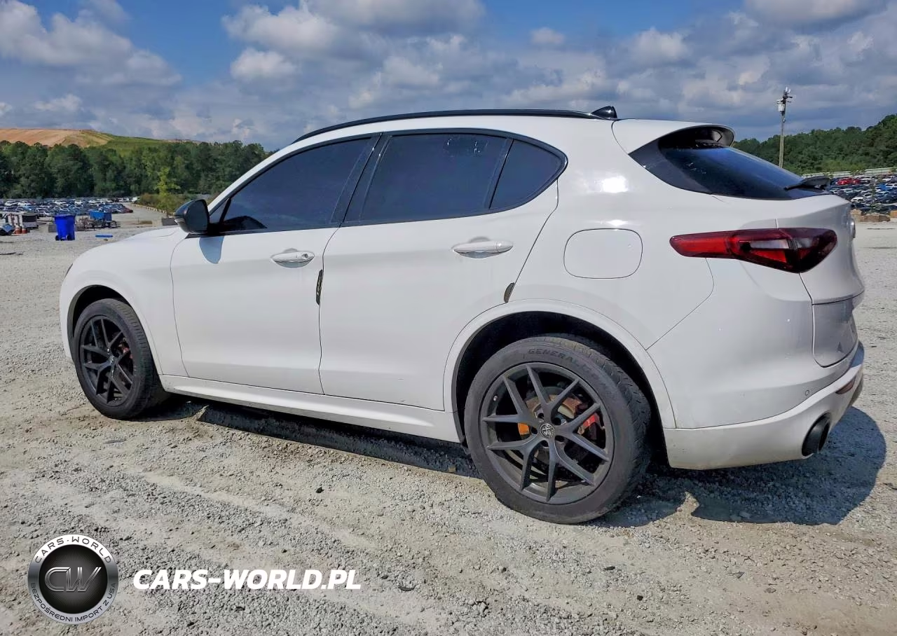 2020 Alfa Romeo Stelvio VIN:ZASPAJAN3L7C86554 - 2