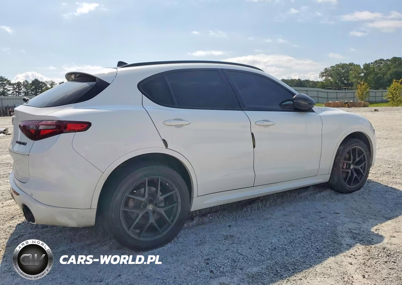 2020 Alfa Romeo Stelvio VIN:ZASPAJAN3L7C86554 - 3