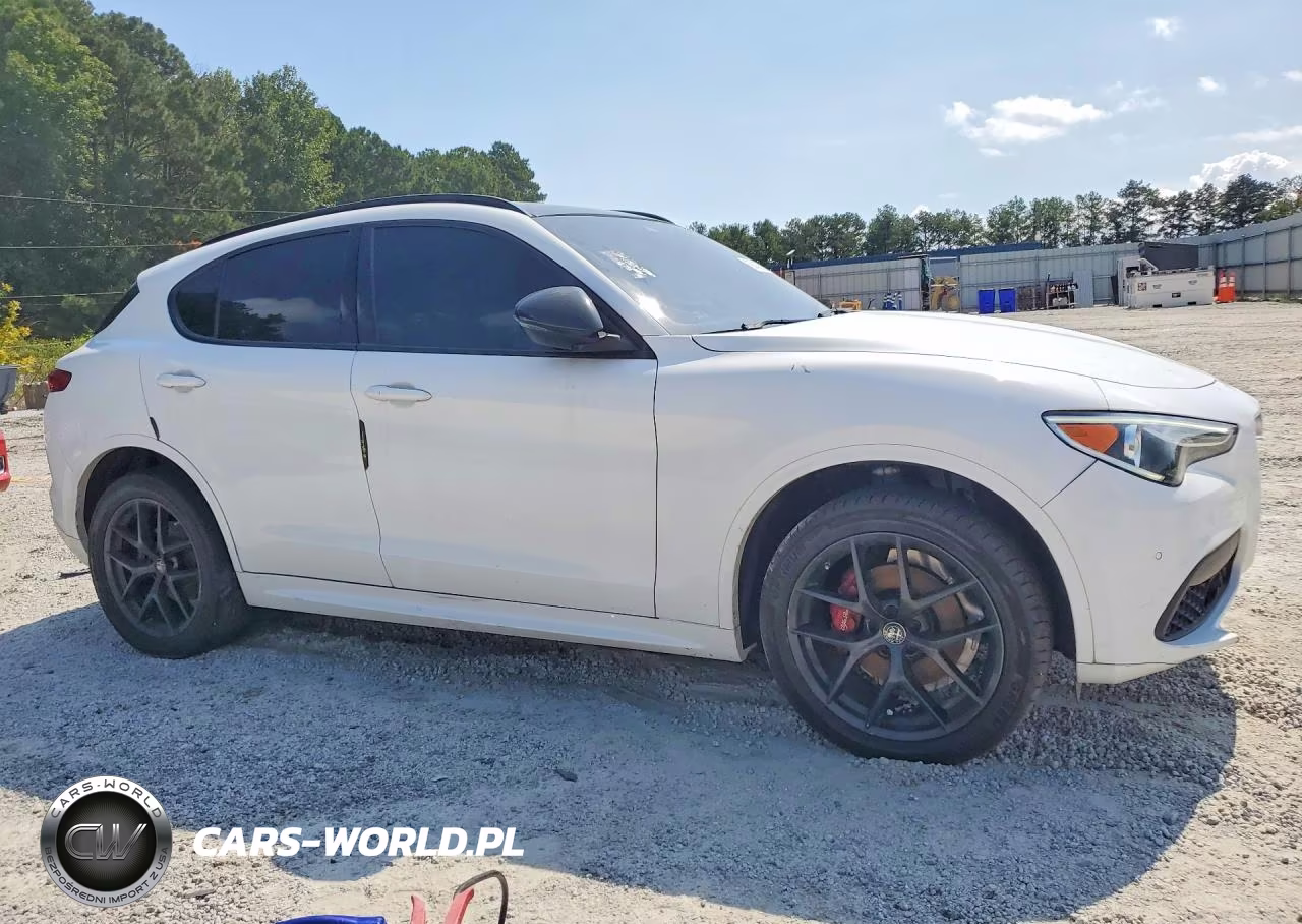 2020 Alfa Romeo Stelvio VIN:ZASPAJAN3L7C86554 - 4